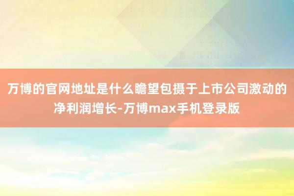 万博的官网地址是什么瞻望包摄于上市公司激动的净利润增长-万博max手机登录版